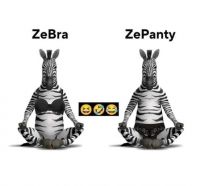 Bra.jpg