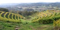 Branceilles_COTEAUX_vezere.jpg