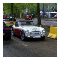 British_cars_days_2024_04_20_61.jpg