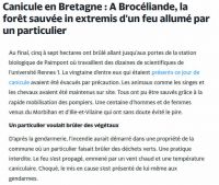 Broceliande.jpeg