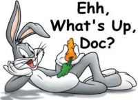 Bucks_buny.JPG
