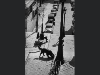 C9981E03-EEAF-45F1-9D17-6D72FC8065DD.png