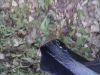 CAM00071.jpg