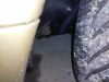 CAM00369.jpg