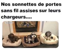 Nom du fichier=CC2946F67E2047542803-22-11-37-4029.jpg
Taille du fichier=67Ko
Dimensions : 594x480
Ajouté le : 01 Avril 2020 CC2946F67E2047542803-22-11-37-4029.jpg