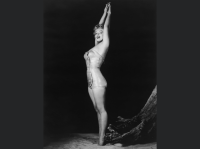 CE04923A-DCEB-45D5-B350-ECBBD68FDBD7.png