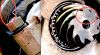 CROWN_PINION_4697.jpg