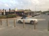 CapFerret.JPG