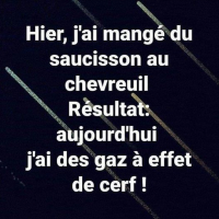 Nom du fichier=Cerf.png
Taille du fichier=455Ko
Dimensions : 512x513
Ajouté le : 12 Mai 2019 Cerf.png