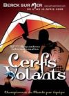 Cerfs-volants.jpg