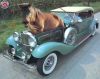 Cheval_voiture.jpg