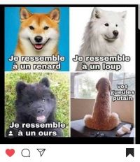 Nom du fichier=Chiens36.jpg
Taille du fichier=117Ko
Dimensions : 689x800
Ajouté le : 05 Avril 2020 Chiens36.jpg
