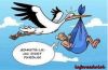 Cigogne.jpg