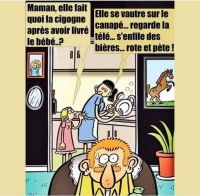 Cigogne~0.jpg