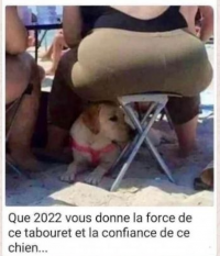 Confiance.png