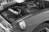 Copie_de_DSCN2562.JPG