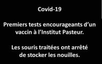Nom du fichier=Coronavirus-souris.jpg
Taille du fichier=129Ko
Dimensions : 1030x657
Ajouté le : 15 Mars 2020 Coronavirus-souris.jpg