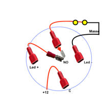 Cosses-femelles-isolees--ADC030_500.png