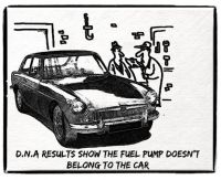 DNA_-_MGB_GT.jpg
