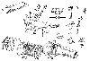 DS007B1-B.gif