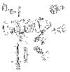 DS007C1-A[1].gif