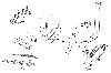 DS019A1-C.gif