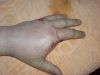 DSC00005.JPG