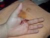 DSC00006~1.JPG