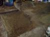 DSC00007.JPG