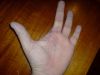 DSC00010.JPG