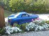 DSC00096.jpg