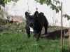 DSC00113.JPG