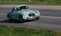 DSC00247~0.JPG