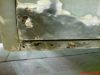DSC00252~0.JPG