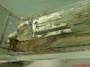 DSC00275~0.JPG