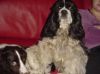 DSC00508.JPG
