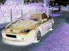 DSC00788rrr.JPG