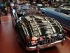 DSC00789~0.JPG