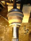 DSC00939.JPG