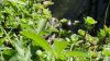 DSC01634.JPG