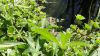 DSC01635.JPG