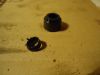 DSC04391.JPG
