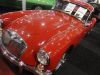 DSC04537.jpg