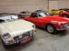 DSC04881.jpg