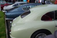 DSC06585.jpg