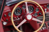 DSC06589.jpg