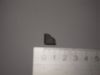 DSC08474.JPG