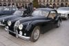 DSC08734.JPG