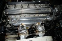 DSC09920.JPG