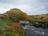 DSCF2589.JPG